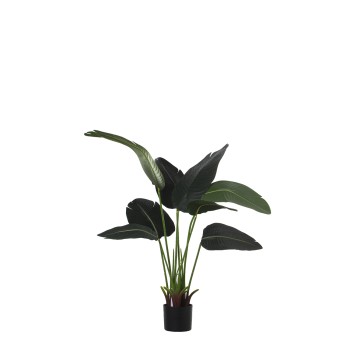 Pianta Artificiale Albero Del Viaggiatore Pu 120cm