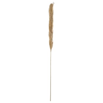 Ramo Naturale Di Canna- _145cm