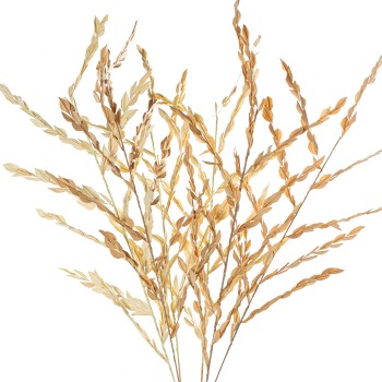 Natural Grass Leaves Branch 148cm