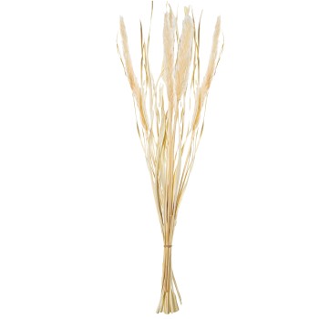 Mazzo Di Fiori Secchi Bianchi- _85-90cm