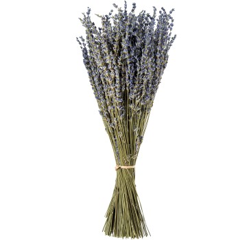 Bouquet De Fleurs Lavande