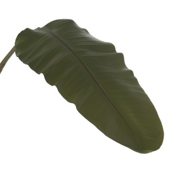 Hoja Ave Del Paraiso Poliester Verde 115cm